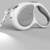 LED Pet Collar with Enhanced Night Visibility