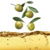 3-1.jpeg Spanish Virgin Olive Oil Retail Pack